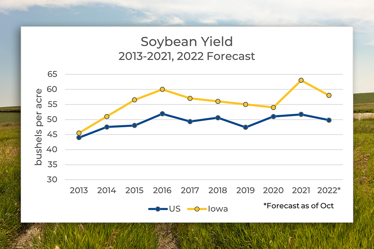 Insights into USDA reports